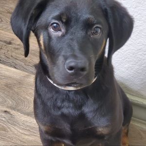 Meet your Posher, Mariel